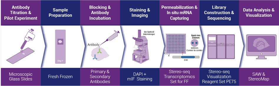 Tissue to Data End-to-end STOmics Solution